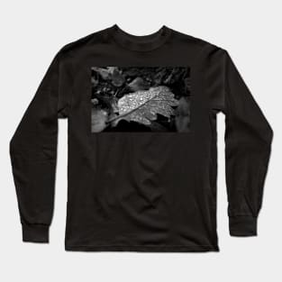 Dew Drops on Autumn Leaves Long Sleeve T-Shirt